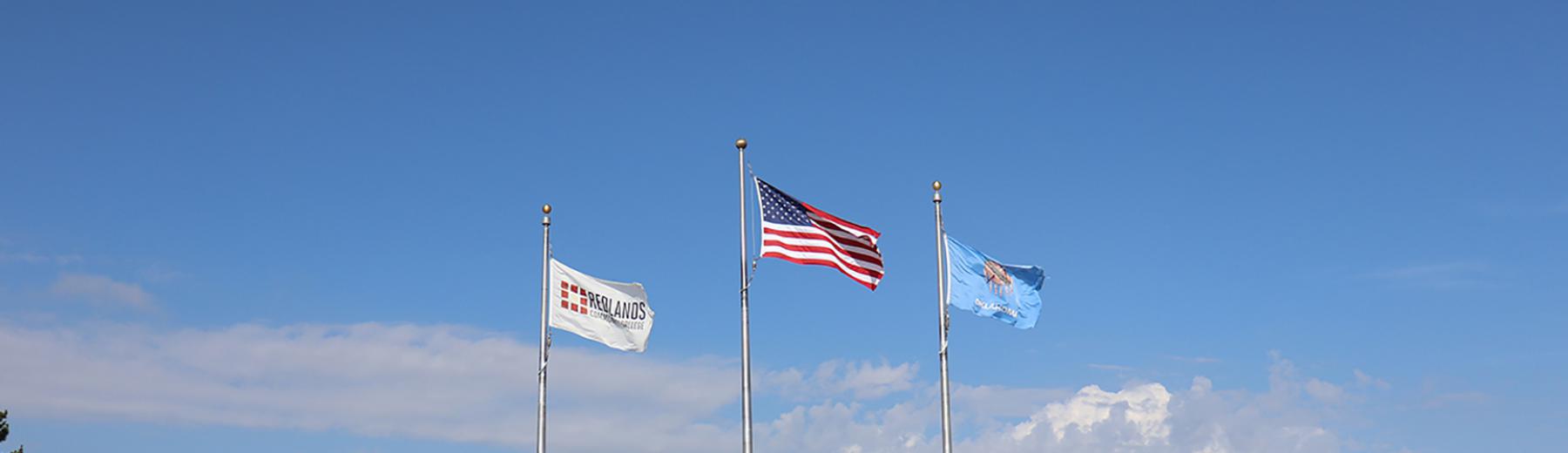 flags flying in front of campus